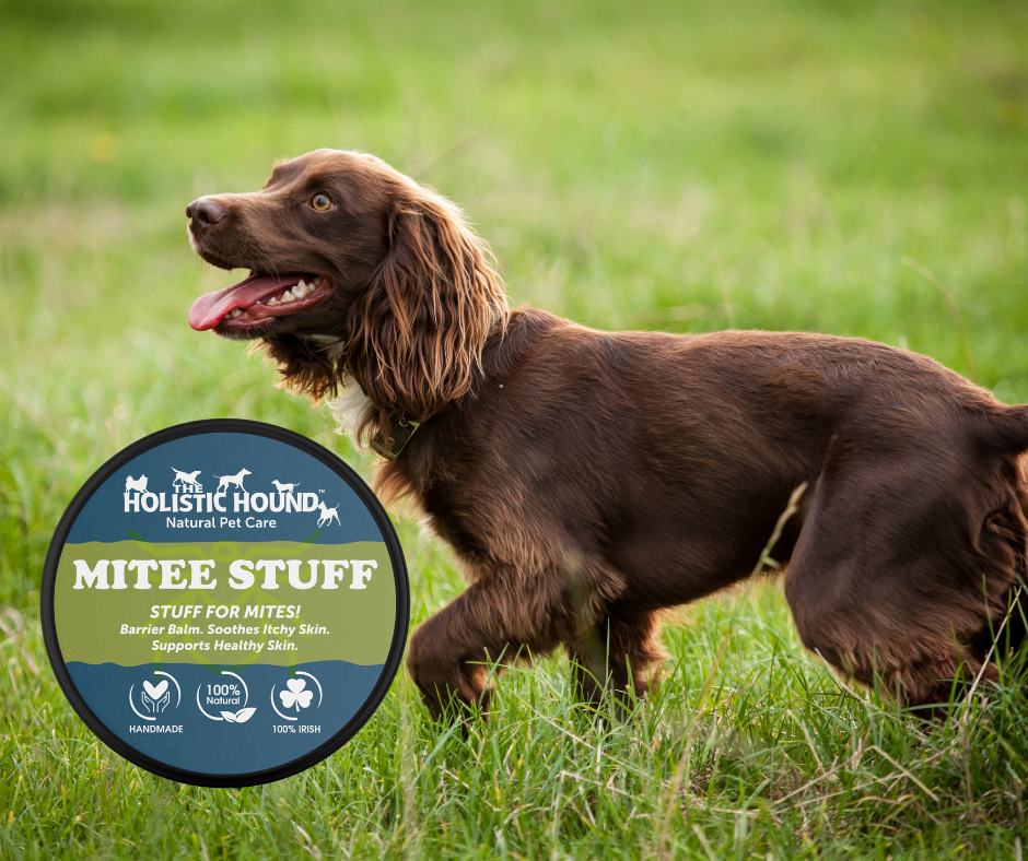 Mite-ee Stuff
